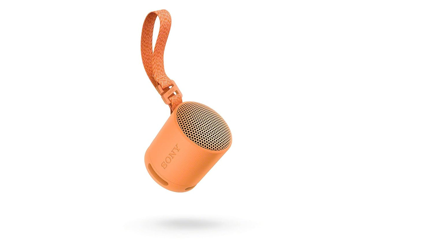 Sony SRS-XB100