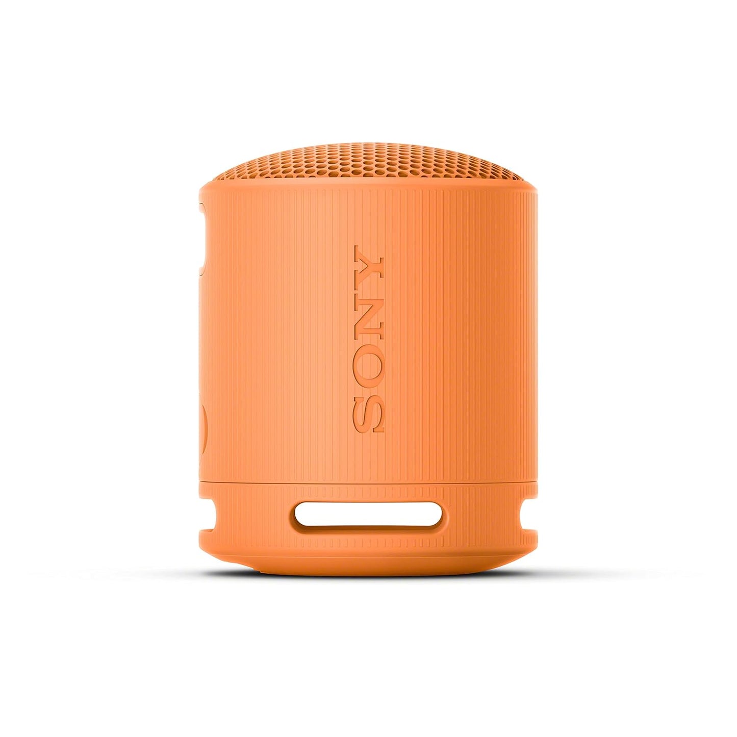 Sony SRS-XB100