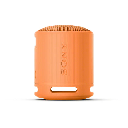 Sony SRS-XB100