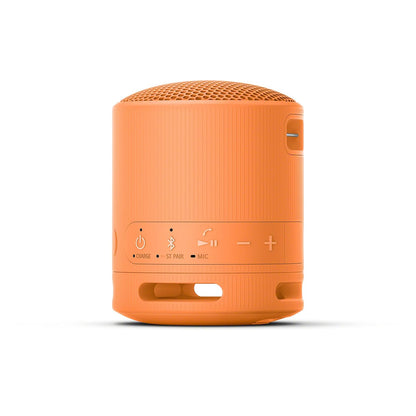Sony SRS-XB100