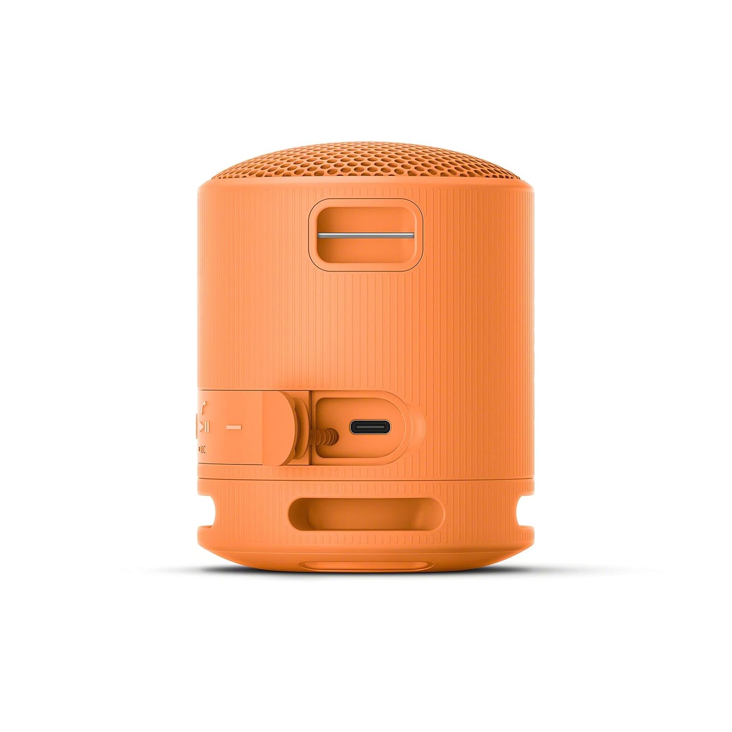 Sony SRS-XB100
