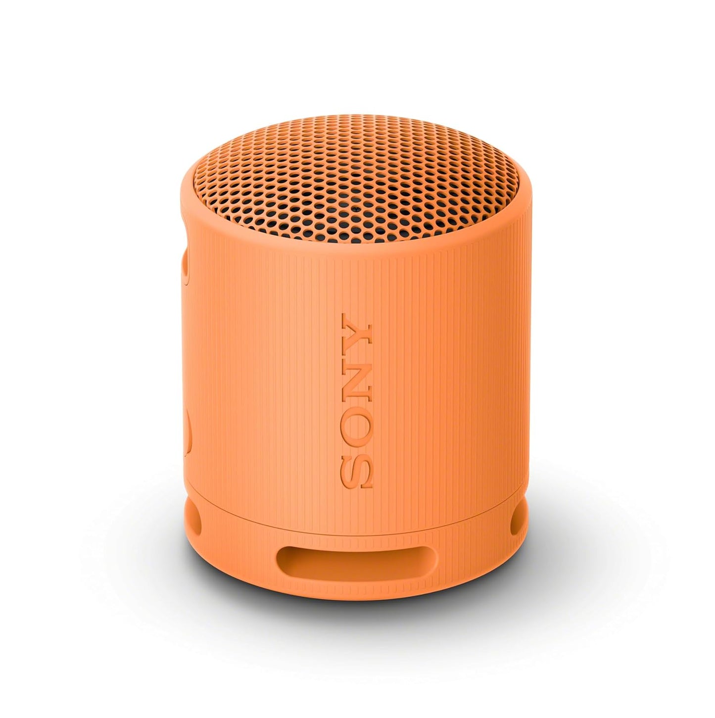 Sony SRS-XB100