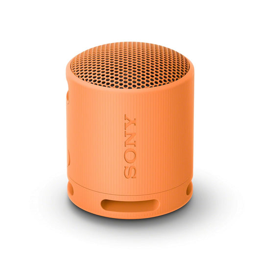 Sony SRS-XB100